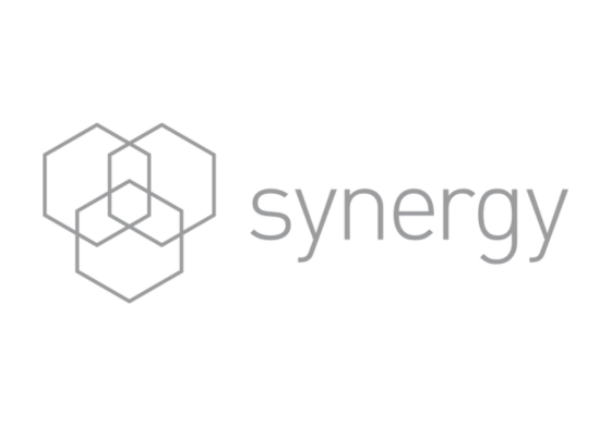 Synergy_PMS