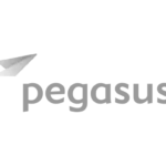 part-pegasus-logo
